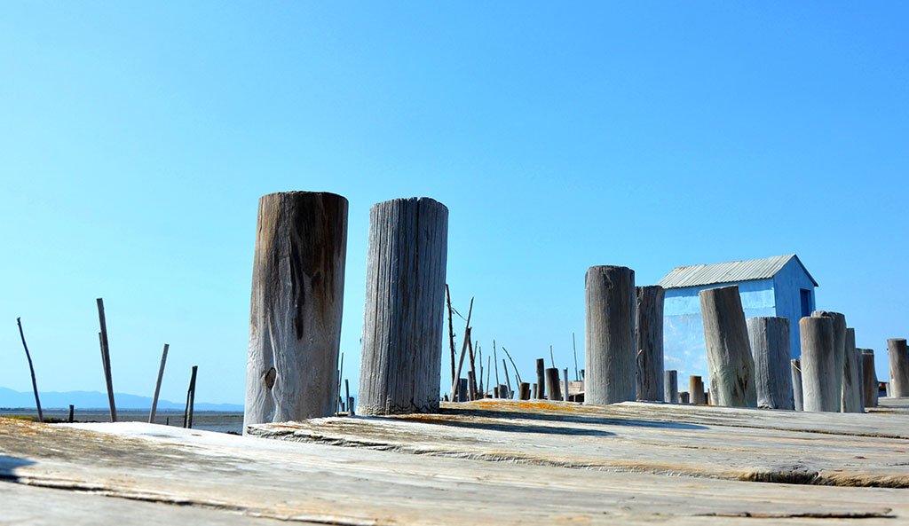 comporta